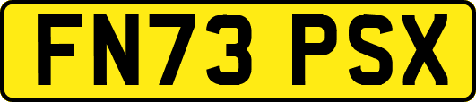FN73PSX