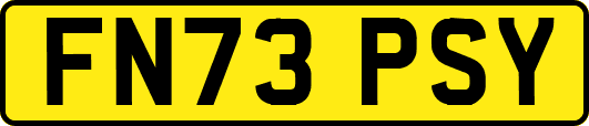 FN73PSY