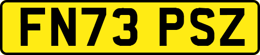 FN73PSZ