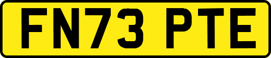 FN73PTE