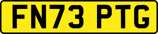 FN73PTG