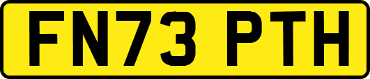 FN73PTH