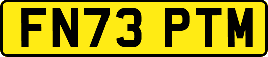 FN73PTM