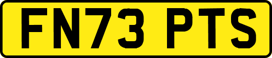 FN73PTS