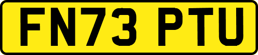 FN73PTU