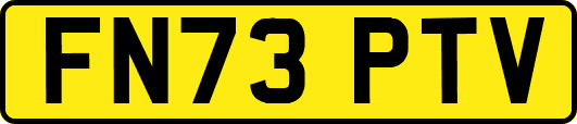 FN73PTV