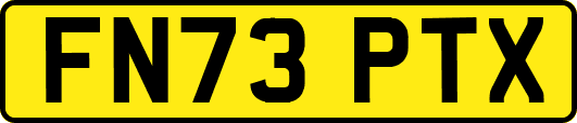 FN73PTX