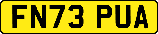 FN73PUA