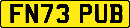 FN73PUB