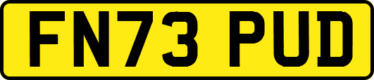 FN73PUD