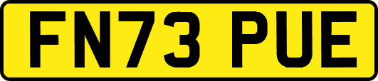 FN73PUE