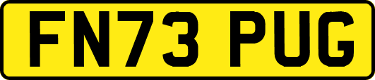 FN73PUG