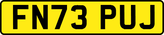 FN73PUJ
