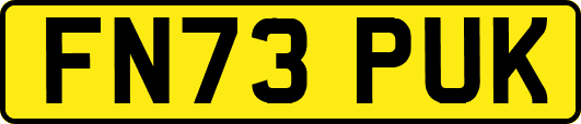 FN73PUK