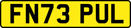 FN73PUL