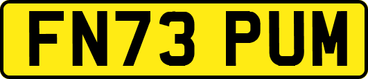 FN73PUM