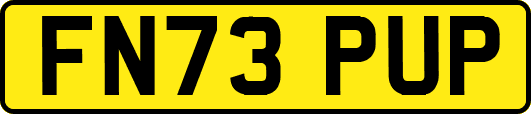 FN73PUP