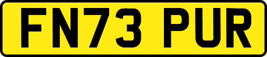 FN73PUR