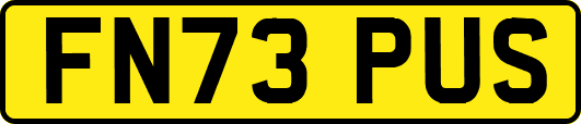FN73PUS