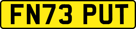 FN73PUT