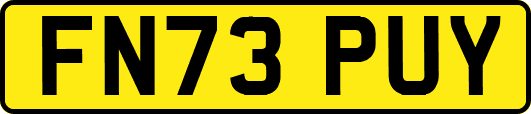FN73PUY