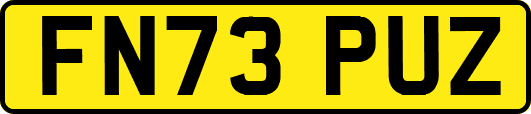 FN73PUZ