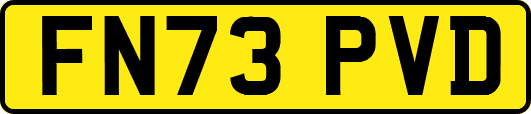 FN73PVD