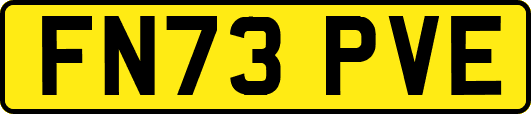 FN73PVE