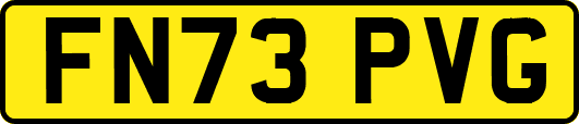 FN73PVG