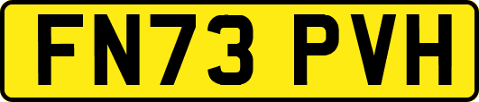 FN73PVH