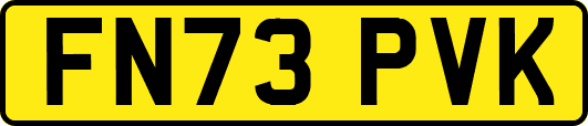 FN73PVK