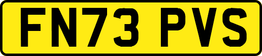 FN73PVS