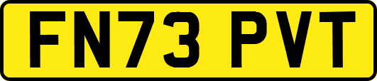 FN73PVT