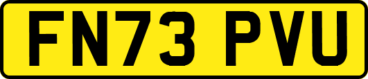 FN73PVU