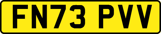 FN73PVV