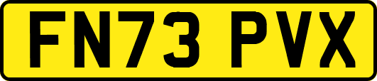 FN73PVX