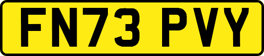 FN73PVY