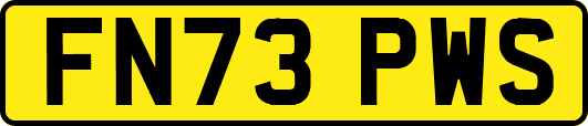 FN73PWS