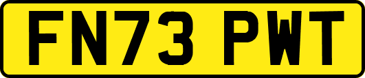 FN73PWT