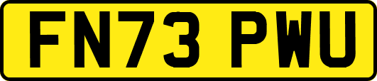 FN73PWU