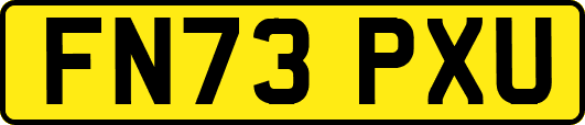 FN73PXU