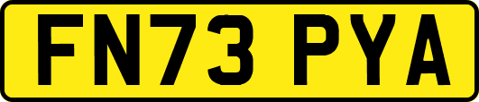 FN73PYA