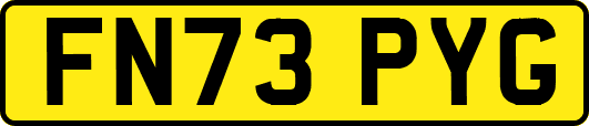 FN73PYG
