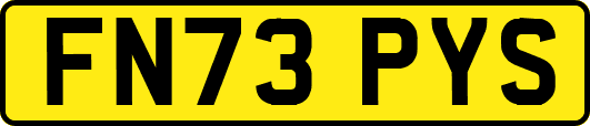 FN73PYS