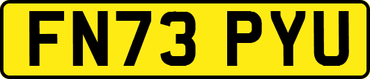 FN73PYU