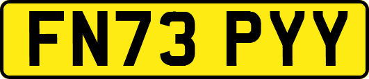 FN73PYY