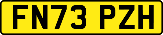 FN73PZH