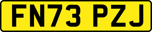 FN73PZJ