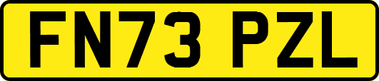FN73PZL
