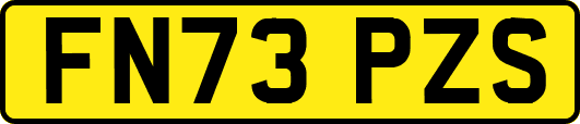 FN73PZS